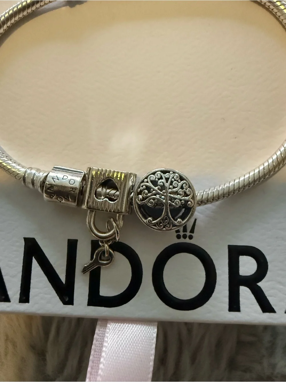 Pandora Bracelet with two charms